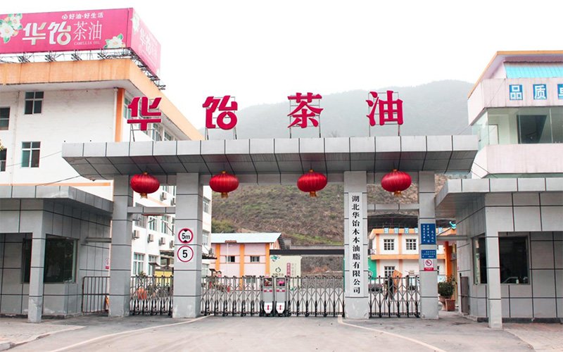 <b>HOIL OIL Collaborates with Mango Financial to Launch Overseas Listing, Accelerating Global Expansion in Healthy Edible Oils Market</b><a href='/en/news/mangguozixun/'>Mango News</a>